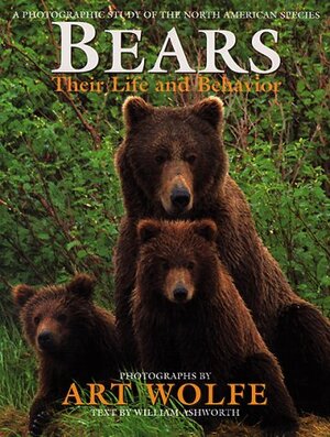 Bears: Their Life And Behavior: A PHOTOGRAPHIC STUDY OF THE NORTH AMERICAN SPECIES by William Ashworth