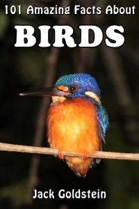 101 Amazing Facts about Birds by Jack Goldstein