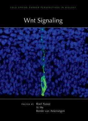 Wnt Signaling by 