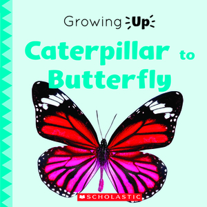 Caterpillar to Butterfly (Growing Up) by Scholastic, Inc, Stephanie Fitzgerald