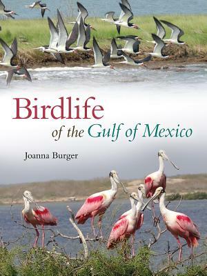 Birdlife of the Gulf of Mexico by Joanna Burger