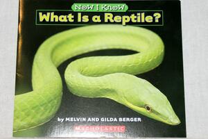 What Is A Reptile? Now I Know Scholastic by Gilda Berger, Melvin A. Berger