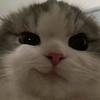 daethel's profile picture