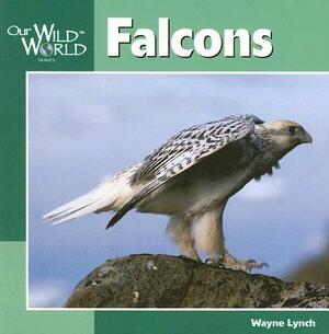 Falcons by Wayne Lynch