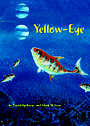 Yellow Eye by David Spillman