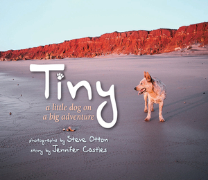 Tiny: A Little Dog on a Big Adventure by Jen Castles