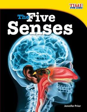 The Five Senses (Fluent Plus) by Jennifer Prior