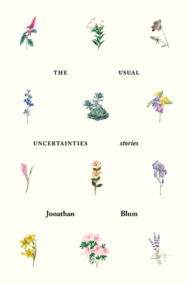 The Usual Uncertainties: Stories by Jonathan Blum