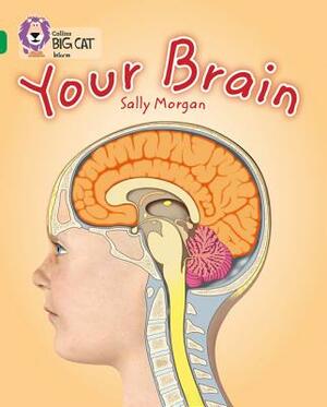 Your Brain by Sally Morgan