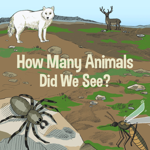 How Many Animals Did We See? (English) by Inhabit Education