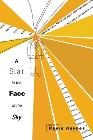 A Star in the Face of the Sky by David Haynes