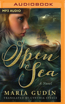 Open Sea by Maria Gudin