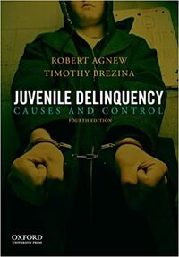 Juvenile Delinquency: Causes and Control by Robert Agnew