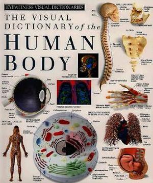 Human Body (DK Visual Dictionaries) by Duncan Brown, Simone End, Chez Picthall, Nicki Liddiard, Bryn Walls, Mary Lindsay