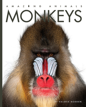 Monkeys by Valerie Bodden