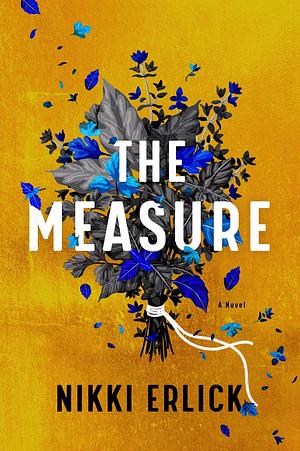 The Measure by Nikki Erlick