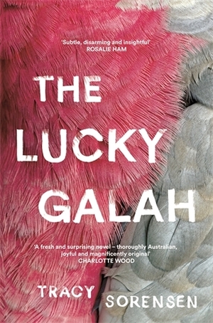 The Lucky Galah by Tracy Sorensen