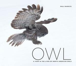 Owl: A Year in the Lives of North American Owls by Paul Bannick