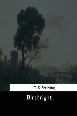 Birthright by T. S. Stribling