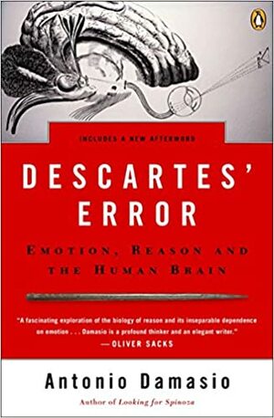خطای دکارت: هیجان، استدلال و مغز انسان by António R. Damásio