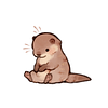 avogadrotoast's profile picture