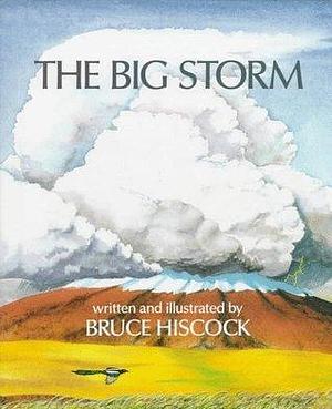 The Big Storm by Bruce Hiscock, Bruce Hiscock