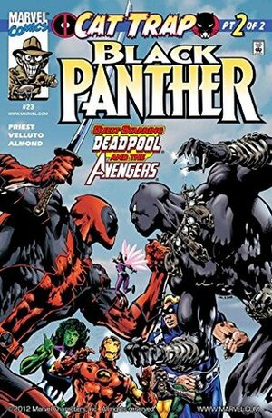 Black Panther #23 by Sal Velluto, Christopher J. Priest