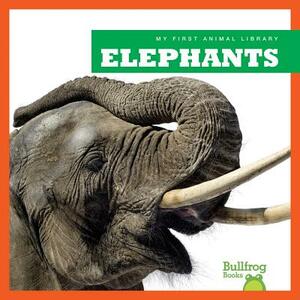 Elephants by Mary Lindeen