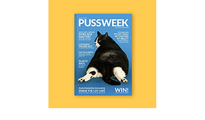 Pussweek: Issue Two by Bexy McFly