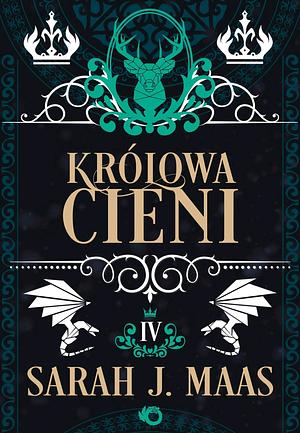 Królowa cieni by Sarah J. Maas