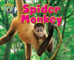 Spider Monkey by Dee Phillips