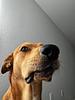 wippywuv's profile picture