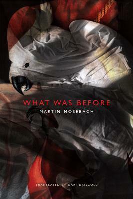 What Was Before by Kári Driscoll, Martin Mosebach