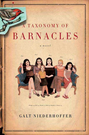 A Taxonomy of Barnacles: A Novel by Galt Niederhoffer