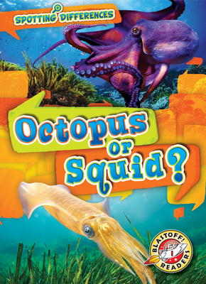 Octopus or Squid? by Christina Leaf