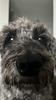 wanderinghappygal's profile picture