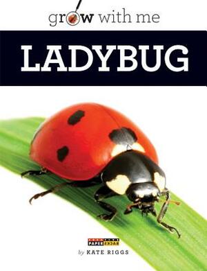 Ladybug by Kate Riggs