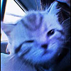 jazzyzy's profile picture