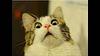 heatherj818's profile picture