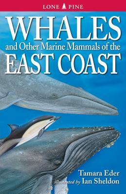 Whales and Other Marine Mammals of the East Coast by Tamara Eder