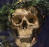 john_bridges's profile picture