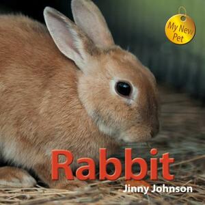 Rabbit by Jinny Johnson