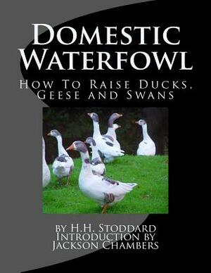 Domestic Waterfowl: How To Raise Ducks, Geese and Swans by H. H. Stoddard