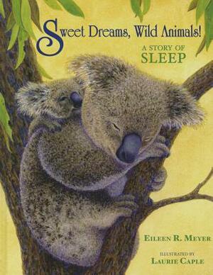 Sweet Dreams, Wild Animals!: A Story of Sleep by Eileen R. Meyer