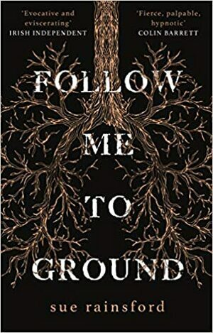 Follow Me to Ground by Sue Rainsford