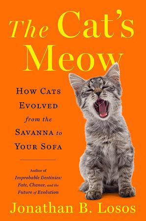 The Cat's Meow: How Cats Evolved from the Savanna to Your Sofa by Jonathan B. Losos