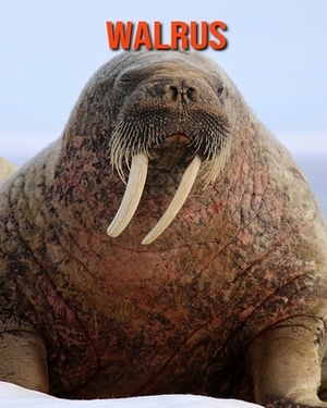 Walrus: Learn About Walrus and Enjoy Colorful Pictures by Matilda Leo