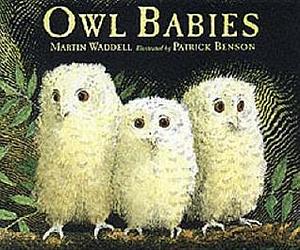 Owl Babies by Patrick Benson, Martin Waddell