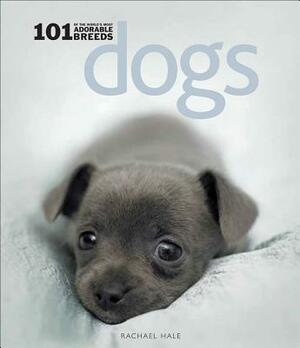 Dogs: 101 Adorable Breeds: 101 Adorable Breeds by Rachael Hale