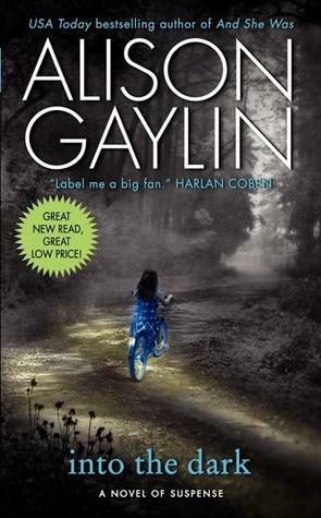 Into the Dark by Alison Gaylin